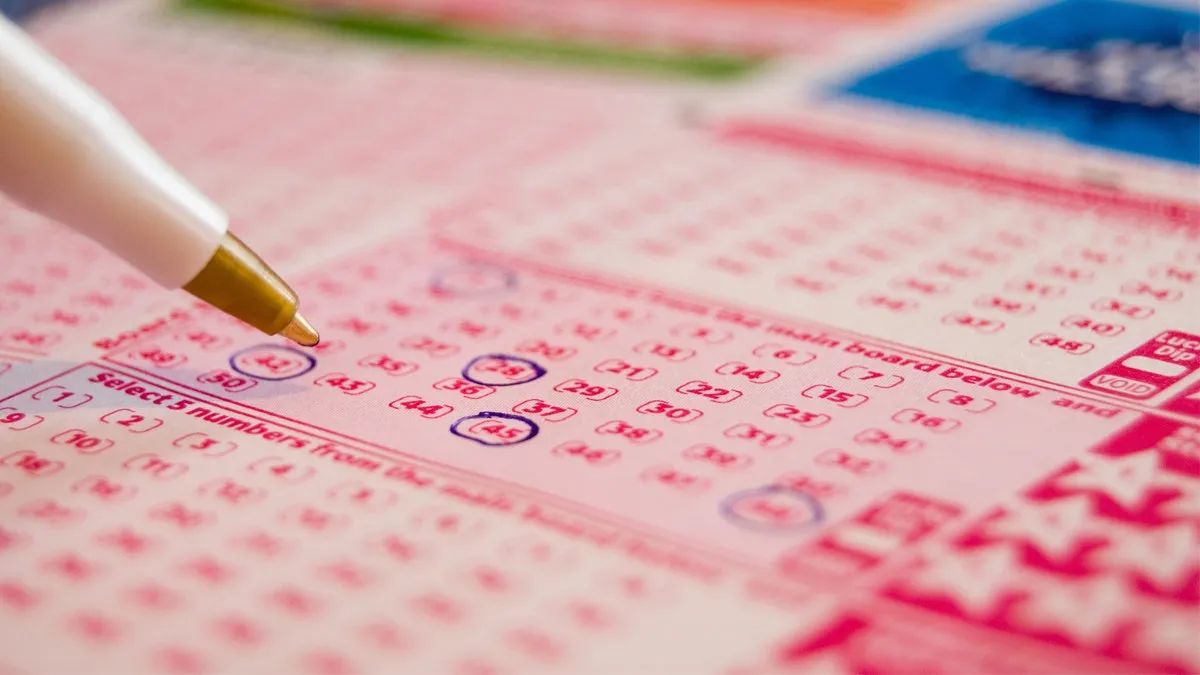 金山娛樂 常見彩票類型的賭算差異分析